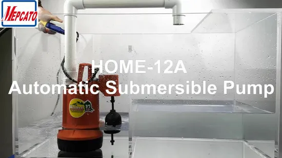 Domestic Household Small Portable Plastic Submersible Water Pump with Float Switch for Landscape Garden Watering Car Washing Basement Drainage (Home Series)