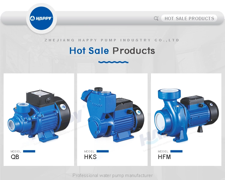 Basic Customization Single-Stage Standard Pressure Electric Vortex Water Pump Qb