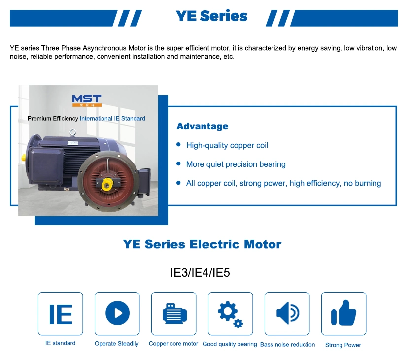 IEC/Ye Three Phase Industry High Efficiency Electrical AC Asynchronous Induction Electric Motor