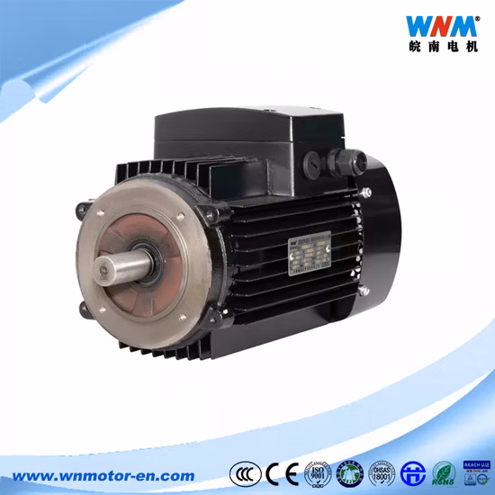 Yvf Frequency Variable Three Phase AC Electric Motor VFD Inverted Duty Squirrel Cage Induction Motors 5